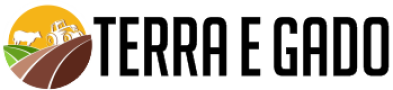 terra e gado