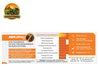 semente-de-milho-hibrido-agn-2m40-vt-pro-4-agromen-precoce-graos-e-silagem