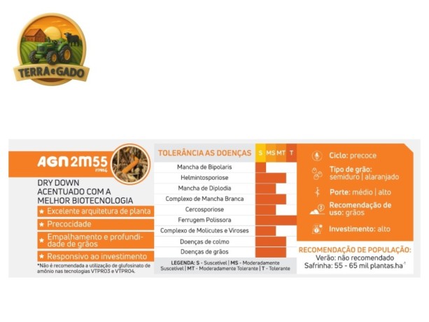 semente-de-milho-hibrido-agn-2m55-vt-pro-4-agromen-precoce-graos-big-0