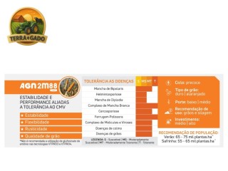semente-de-milho-hibrido-agn-2m88-vt-pro-3-agromen-precoce-graos-e-silagem