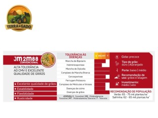 semente-de-milho-hibrido-jm-2m88-convencional-jmen-agromen-precoce-graos-e-silagem