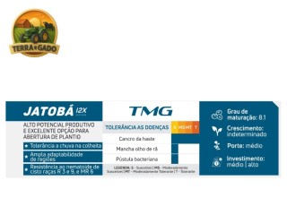 semente-de-soja-tmg-jatoba-i2x-agromen-gm-81-porte-medio