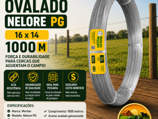 arame-ovalado-nelore-pg-morlan-16x14-1000m-a-venda-em-ji-parana-ro