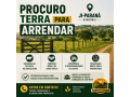 procuro-terra-para-arrendar-em-ji-parana-ro-pecuaria-ou-agricultura-small-0