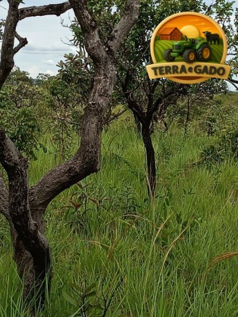 fazenda-sem-benfeitorias-com-excelente-potencial-big-1
