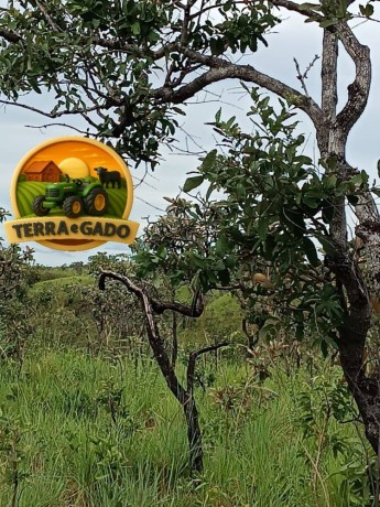 fazenda-sem-benfeitorias-com-excelente-potencial-big-0