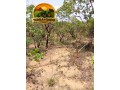 fazenda-a-venda-em-almasto-71-alqueires-small-1