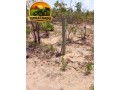fazenda-a-venda-em-almasto-71-alqueires-small-2