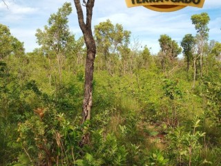 fazenda-a-venda-em-almasto-71-alqueires