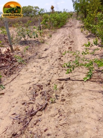 fazenda-a-venda-em-almasto-71-alqueires-big-4