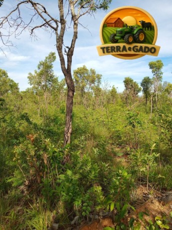 fazenda-a-venda-em-almasto-71-alqueires-big-0