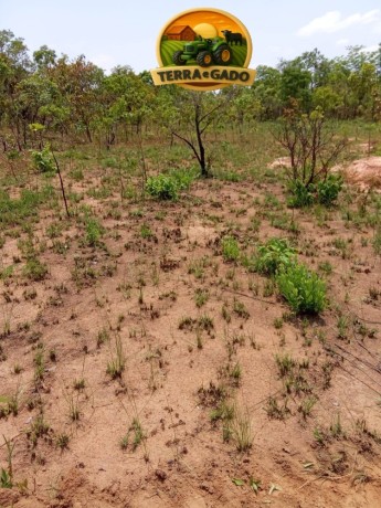 fazenda-a-venda-em-almasto-71-alqueires-big-3