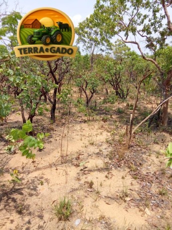 fazenda-a-venda-em-almasto-71-alqueires-big-1