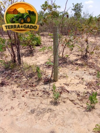 fazenda-a-venda-em-almasto-71-alqueires-big-2