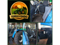 new-holland-6040-132cv-trator-de-lavoura-small-4