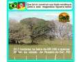 area-rural-237-hectares-na-br-290-rosario-do-sul-rs-small-2