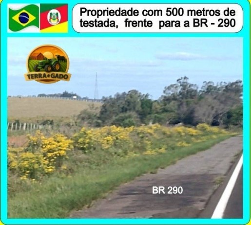 area-rural-237-hectares-na-br-290-rosario-do-sul-rs-big-1