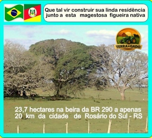 area-rural-237-hectares-na-br-290-rosario-do-sul-rs-big-2
