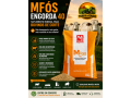 mfos-engorda-40-marilia-nutri-suplemento-mineral-para-bovinos-small-0