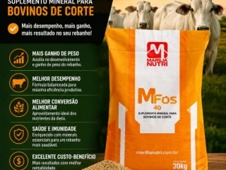 mfos-engorda-40-marilia-nutri-suplemento-mineral-para-bovinos