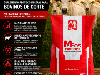 mfos-proteico-1g-marilia-nutri-proteinado-para-bovinos-de-corte