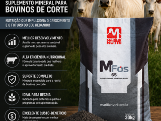 mfos-recria-65-marilia-nutri-suplemento-mineral-para-bovinos