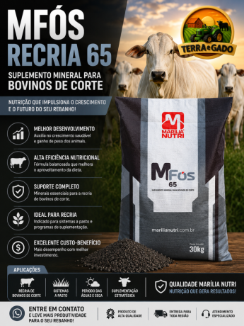 mfos-recria-65-marilia-nutri-suplemento-mineral-para-bovinos-big-0