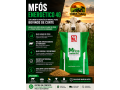 mfos-energetico-4g-marilia-nutri-suplemento-energetico-para-bovinos-small-0