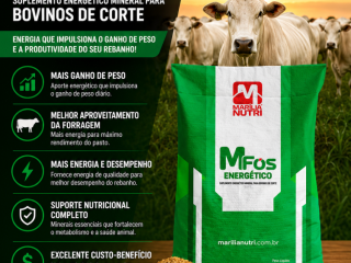 mfos-energetico-4g-marilia-nutri-suplemento-energetico-para-bovinos