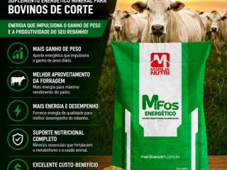 mfos-energetico-4g-marilia-nutri-suplemento-energetico-para-bovinos