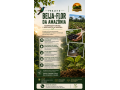 beija-flor-da-amazonia-recomposicao-florestal-e-agrofloresta-na-amazonia-small-0
