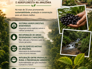 beija-flor-da-amazonia-recomposicao-florestal-e-agrofloresta-na-amazonia
