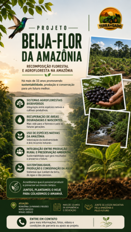 beija-flor-da-amazonia-recomposicao-florestal-e-agrofloresta-na-amazonia-big-0