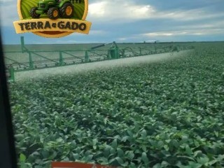 fazenda-600-hectares-em-bom-jesus-pi-420-ha-abertos-regiao-estrategica