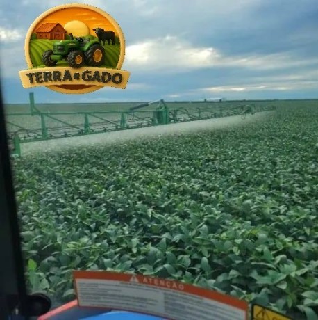 fazenda-600-hectares-em-bom-jesus-pi-420-ha-abertos-regiao-estrategica-big-0