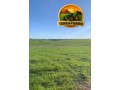 fazenda-90-hectares-em-bage-rs-100-aravel-excelente-localizacao-small-2