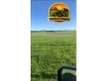 fazenda-90-hectares-em-bage-rs-100-aravel-excelente-localizacao-small-3