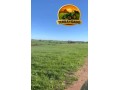 fazenda-90-hectares-em-bage-rs-100-aravel-excelente-localizacao-small-1