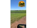 fazenda-90-hectares-em-bage-rs-100-aravel-excelente-localizacao-small-0