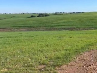 fazenda-90-hectares-em-bage-rs-100-aravel-excelente-localizacao