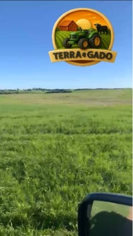 fazenda-90-hectares-em-bage-rs-100-aravel-excelente-localizacao-big-3