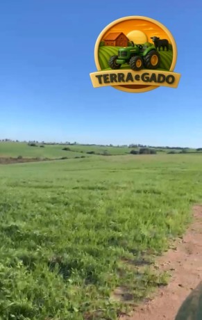 fazenda-90-hectares-em-bage-rs-100-aravel-excelente-localizacao-big-1