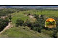 fazenda-650-hectares-em-joao-pinheiro-mg-estruturada-beira-de-rio-small-2