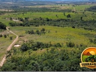 fazenda-650-hectares-em-joao-pinheiro-mg-estruturada-beira-de-rio