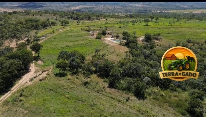 fazenda-650-hectares-em-joao-pinheiro-mg-estruturada-beira-de-rio-big-2