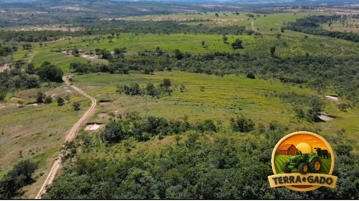 fazenda-650-hectares-em-joao-pinheiro-mg-estruturada-beira-de-rio-big-0