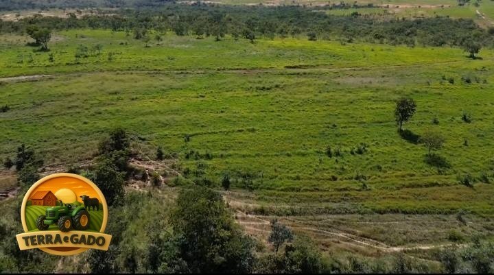 fazenda-650-hectares-em-joao-pinheiro-mg-estruturada-beira-de-rio-big-1