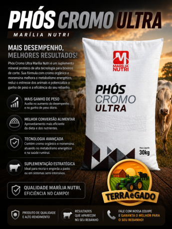 phos-cromo-ultra-marilia-nutri-suplemento-mineral-de-alta-performance-big-0