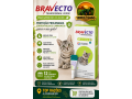 bravecto-transdermal-verde-para-gatos-de-12-a-28kg-antipulgas-e-carrapatos-top-racoes-ji-parana-small-0