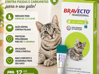 bravecto-transdermal-verde-para-gatos-de-12-a-28kg-antipulgas-e-carrapatos-top-racoes-ji-parana